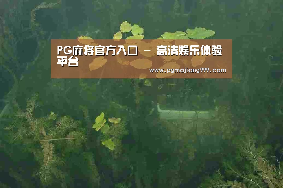 案例展示三