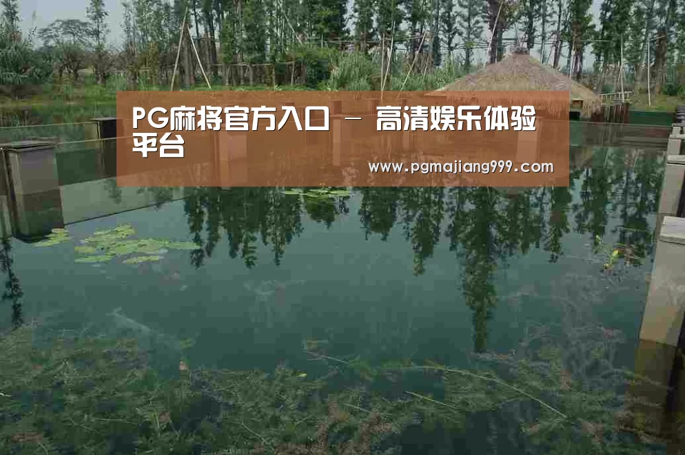 案例展示二