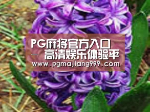产品名称八
