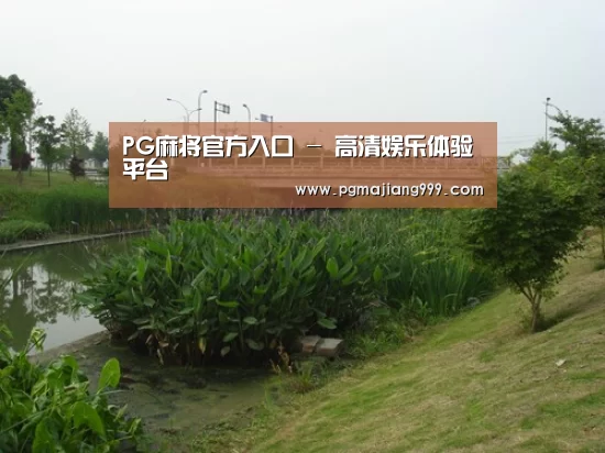 案例展示四