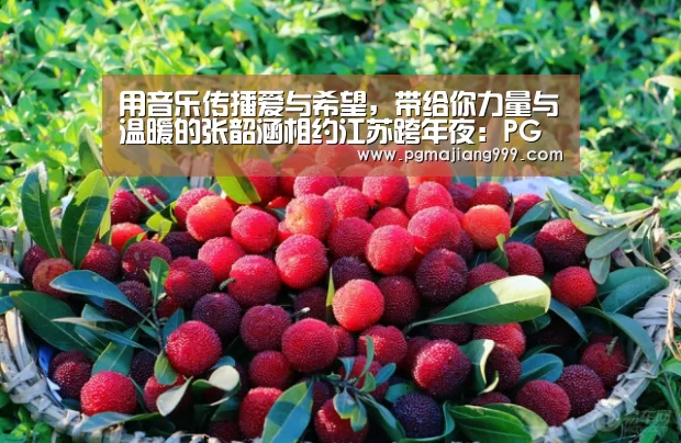 用音乐传播爱与希望,带给你力量与温暖的张韶涵相约江苏跨年夜:PG麻将官方入口(图2) PG麻将登录入口