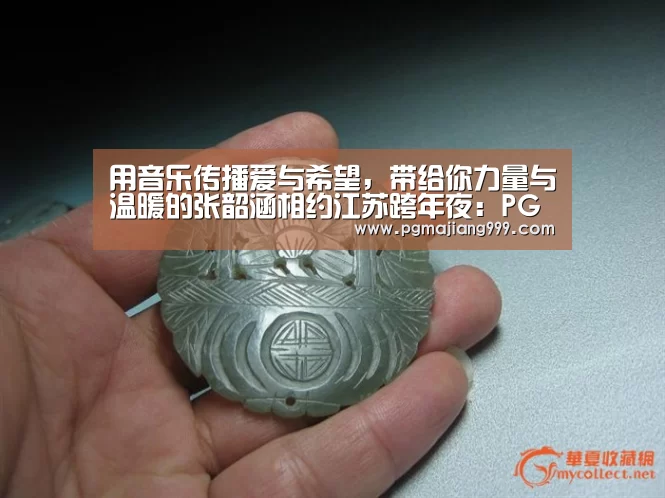 用音乐传播爱与希望,带给你力量与温暖的张韶涵相约江苏跨年夜:PG麻将官方入口(图3) PG娱乐中心