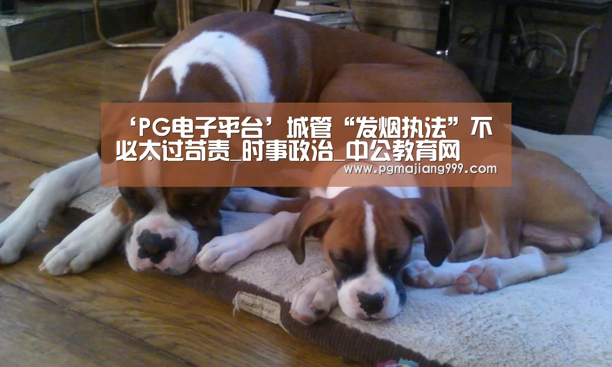 PG麻将官方入口
