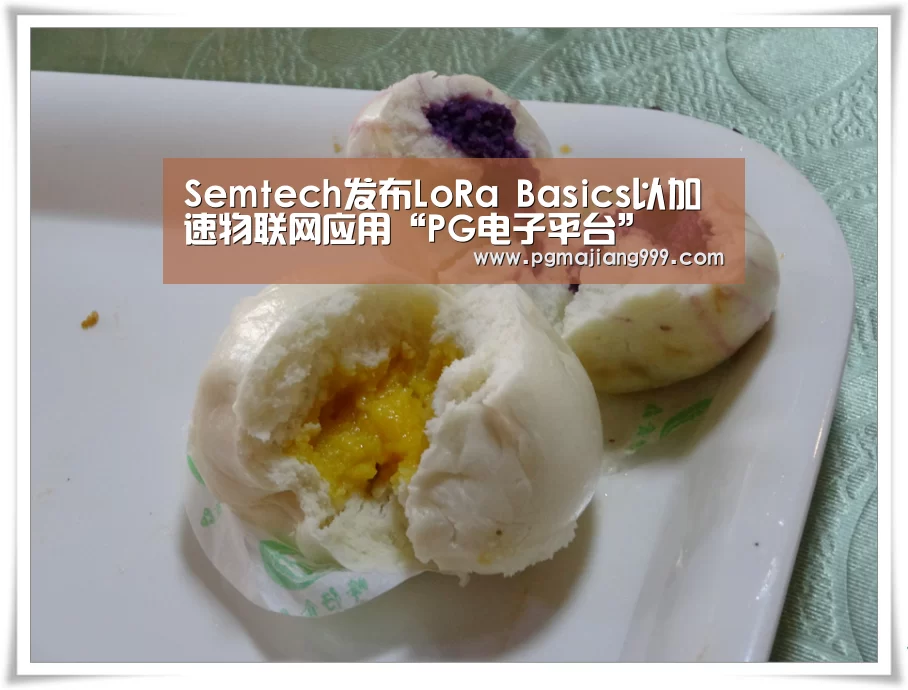 PG娱乐中心