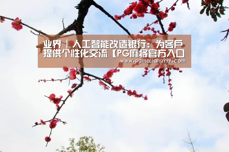 PG麻将登录入口
