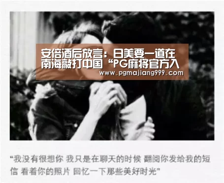 安倍酒后放言:日美要一道在南海敲打中国“PG麻将官方入口”(图1) PG电子平台