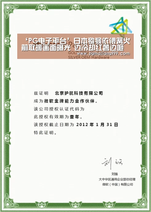 ‘PG电子平台’日本猕猴依偎篝火前取暖画面曝光 边冷却红薯边咂嘴(图2) PG麻将登录入口