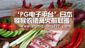 ‘PG电子平台’日本猕猴依偎篝火前取暖画面曝光 边冷却红薯边咂嘴(图1) PG麻将官方入口
