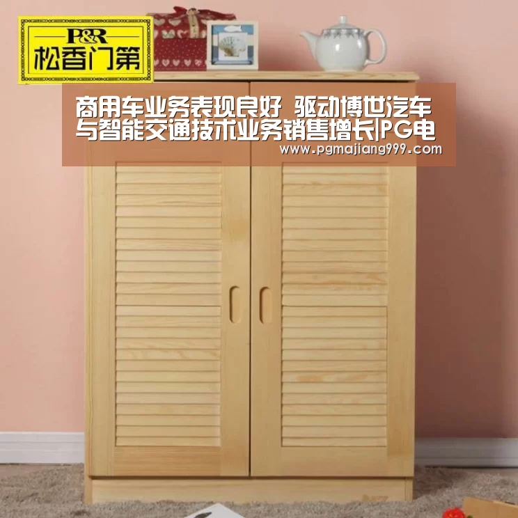 商用车业务表现良好 驱动博世汽车与智能交通技术业务销售增长|PG电子平台(图3) PG麻将官方入口