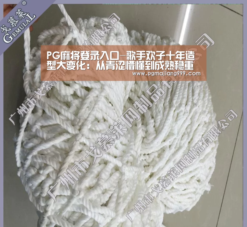 PG麻将登录入口-歌手欢子十年造型大变化:从青涩懵懂到成熟稳重(图2) PG电子平台