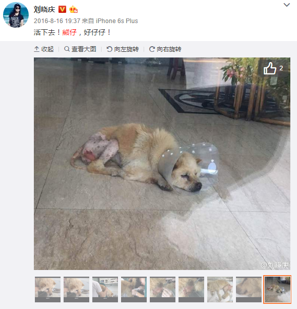 PG麻将登录入口|有的放矢,中国必将推动制度建设现代化进程_时事政治_中公教育网(图3) PG电子平台