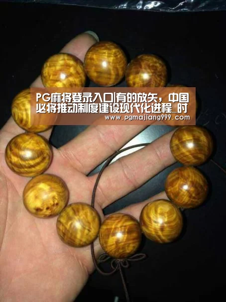 PG麻将登录入口|有的放矢,中国必将推动制度建设现代化进程_时事政治_中公教育网(图4) PG电子平台