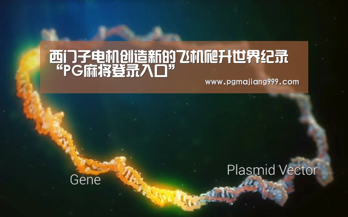 西门子电机创造新的飞机爬升世界纪录“PG麻将登录入口”(图1) PG电子平台