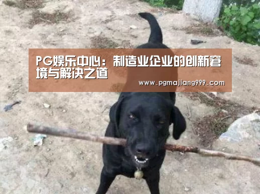 PG娱乐中心:制造业企业的创新窘境与解决之道(图1) PG娱乐中心