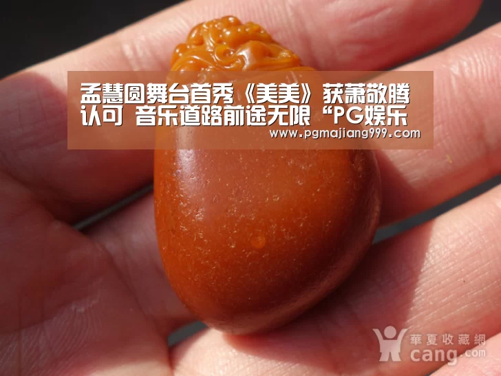 PG麻将登录入口