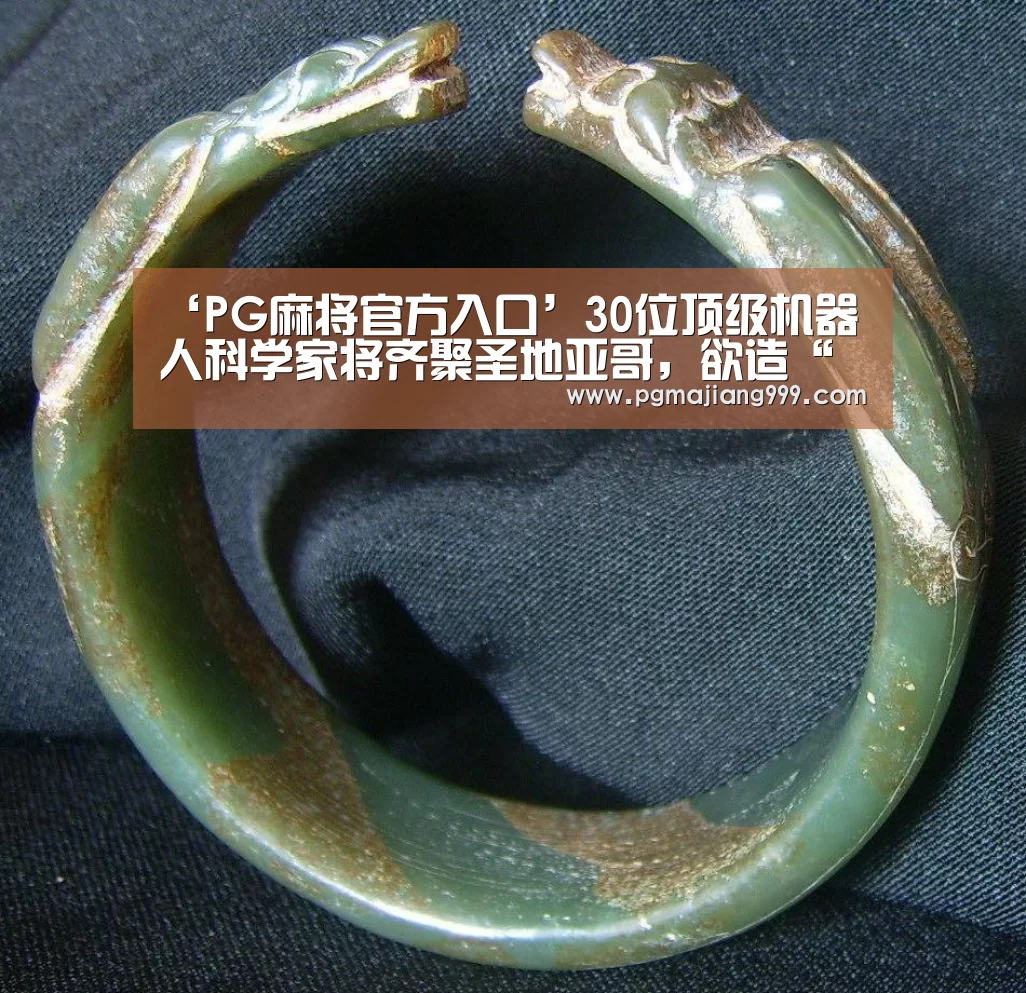 PG麻将登录入口