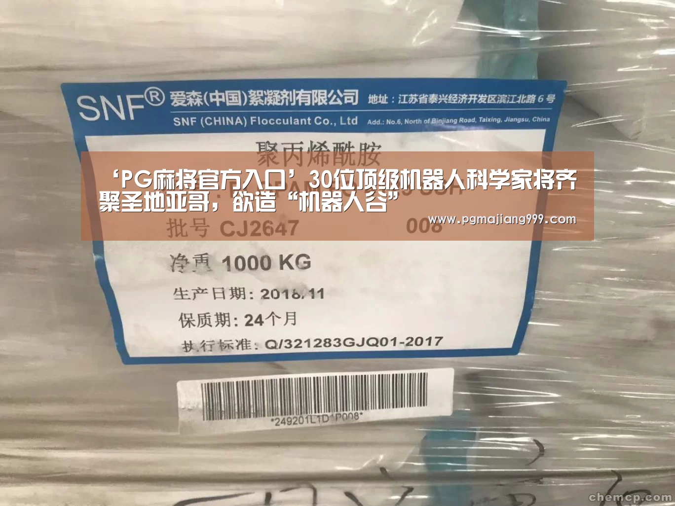 PG麻将官方入口