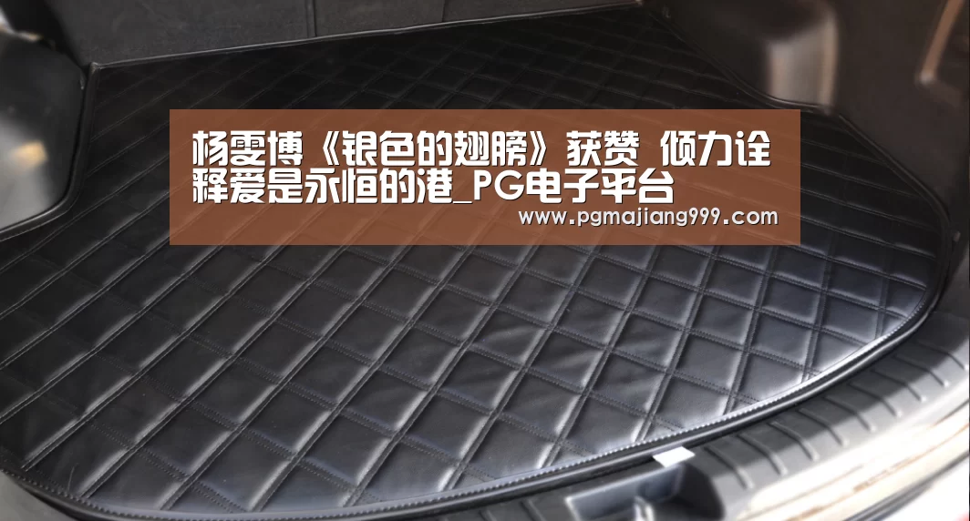 杨雯博《银色的翅膀》获赞 倾力诠释爱是永恒的港_PG电子平台(图1) PG麻将官方入口