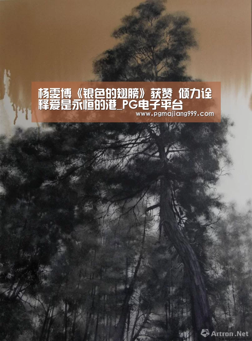 杨雯博《银色的翅膀》获赞 倾力诠释爱是永恒的港_PG电子平台(图3) PG娱乐中心