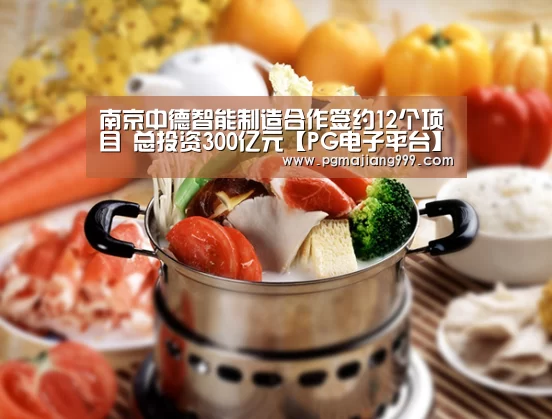 南京中德智能制造合作签约12个项目 总投资300亿元【PG电子平台】(图4) PG麻将登录入口