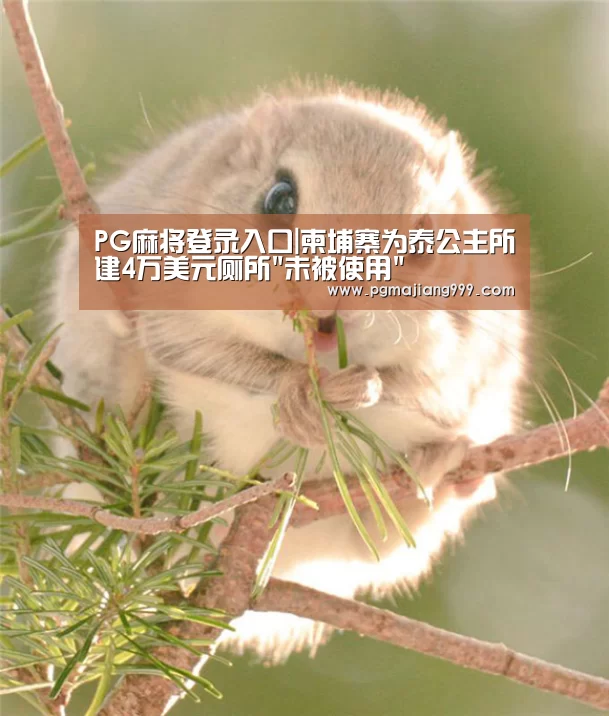 PG麻将登录入口|柬埔寨为泰公主所建4万美元厕所未被使用(图1) PG麻将登录入口