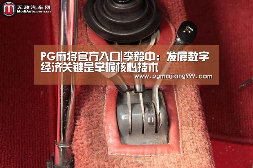 PG麻将官方入口|李毅中:发展数字经济关键是掌握核心技术(图1) PG麻将官方入口