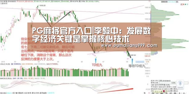 PG麻将官方入口|李毅中:发展数字经济关键是掌握核心技术(图2) PG娱乐中心