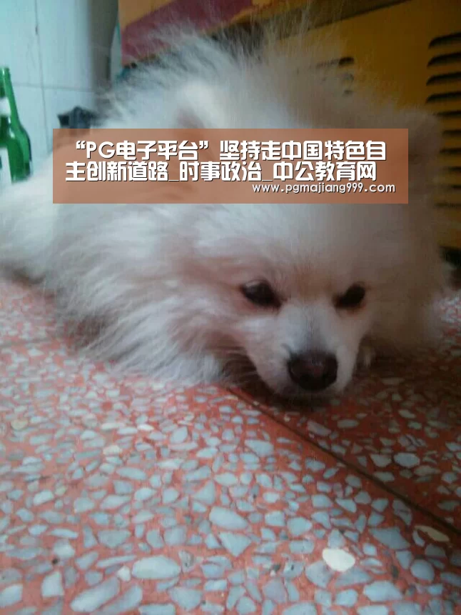 “PG电子平台”坚持走中国特色自主创新道路_时事政治_中公教育网(图4) PG娱乐中心