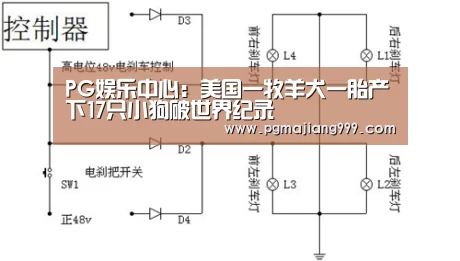 PG娱乐中心:美国一牧羊犬一胎产下17只小狗破世界纪录(图1) PG麻将登录入口
