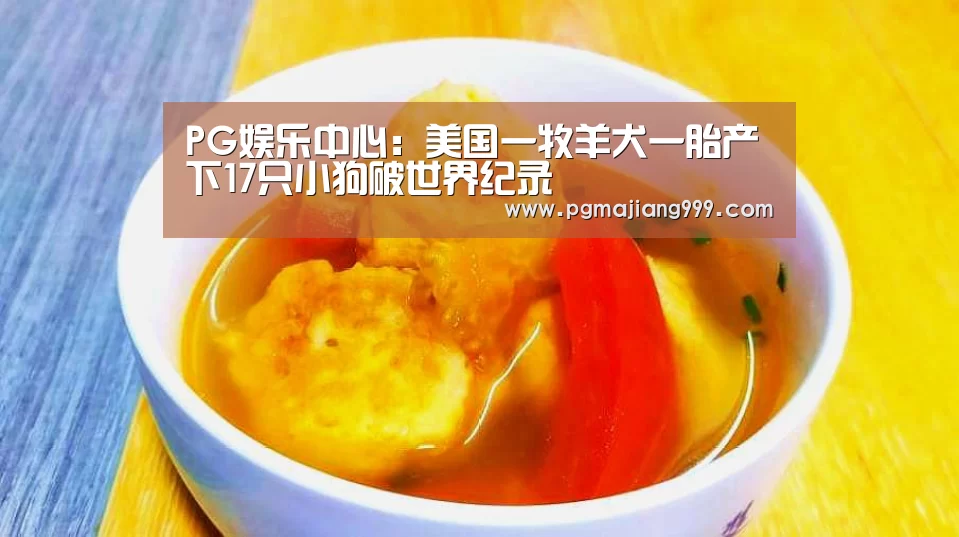 PG娱乐中心:美国一牧羊犬一胎产下17只小狗破世界纪录(图3) PG麻将官方入口