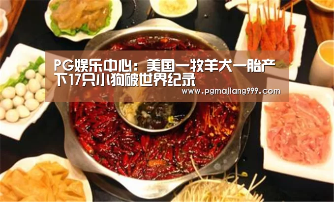 PG娱乐中心:美国一牧羊犬一胎产下17只小狗破世界纪录(图2) PG麻将官方入口