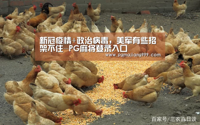 PG麻将登录入口