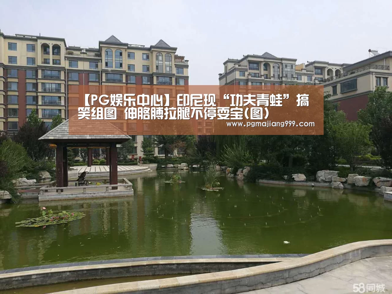 【PG娱乐中心】印尼现“功夫青蛙”搞笑组图 伸胳膊拉腿不停耍宝(图)(图3) PG电子平台