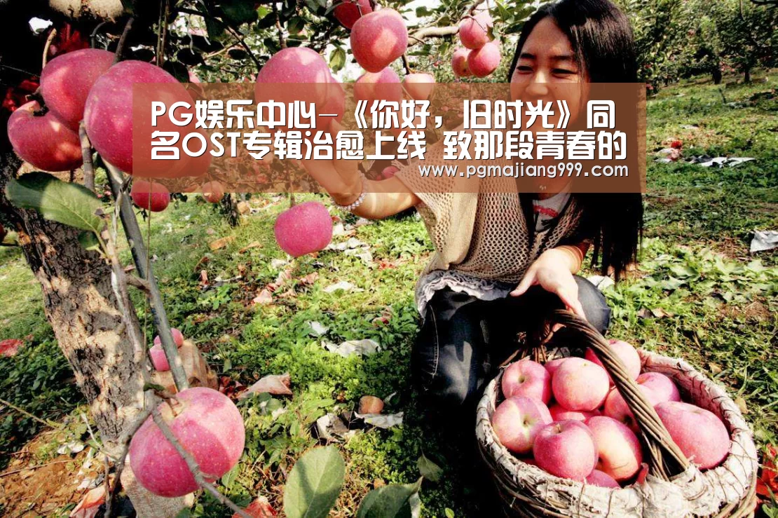 PG麻将官方入口